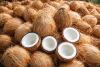 Coconut exporter