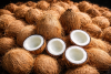 Coconut Products exporter